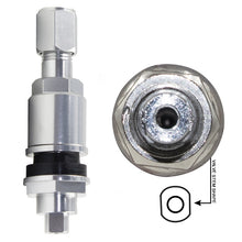 Replacement Metal Valve Stem with Silver Finish for PDQ TPM Sensors (PDQ-001)