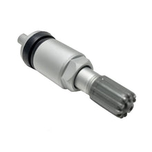 Replacement Metal Valve Stem with Silver Finish for PDQ TPM Sensors (PDQ-001)